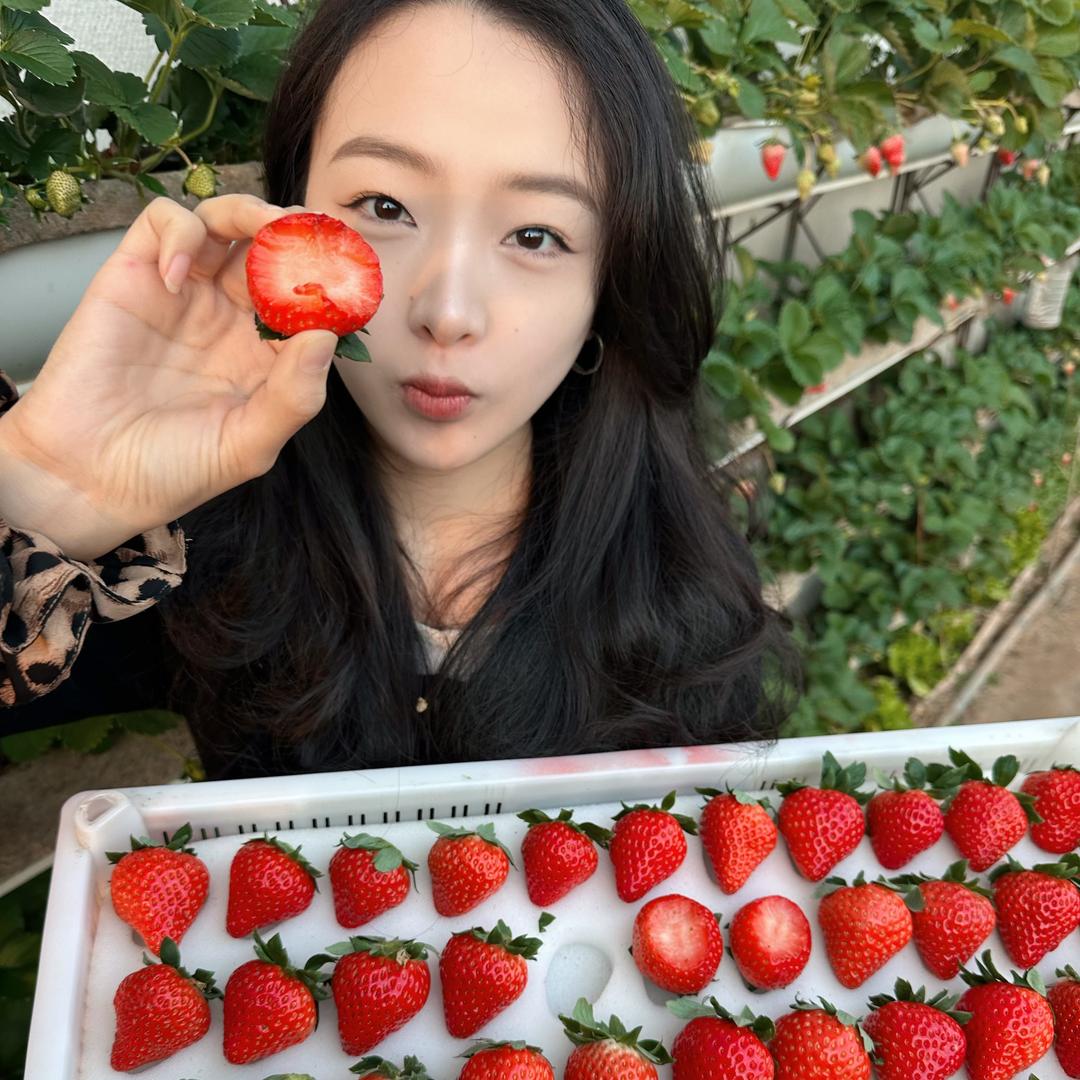 宸浠农场(丹东九九草莓)