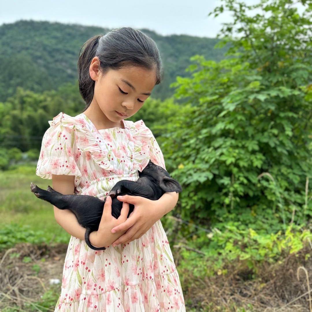 岳西黑猪（地标产品）