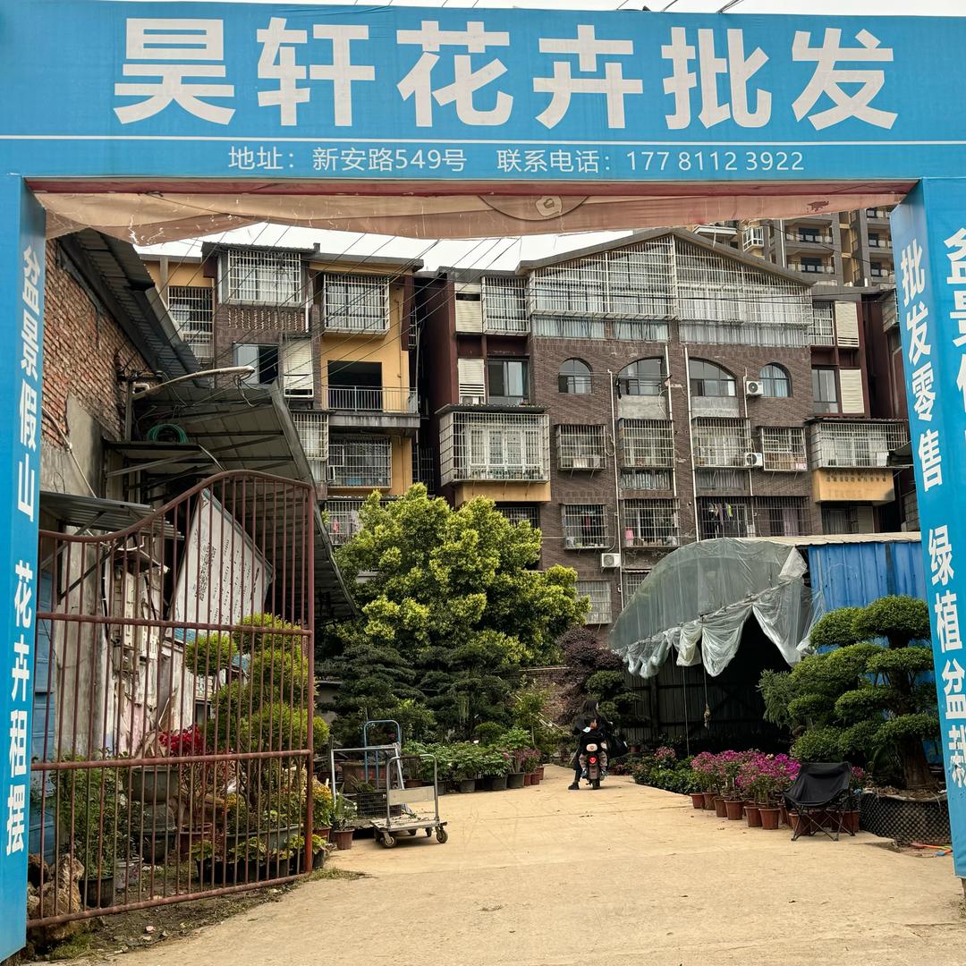 南部县昊轩花卉批发