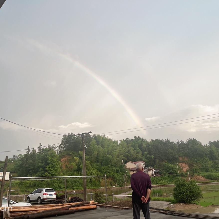 蓝Penᴗg·ᰔ ᩚ友🌈