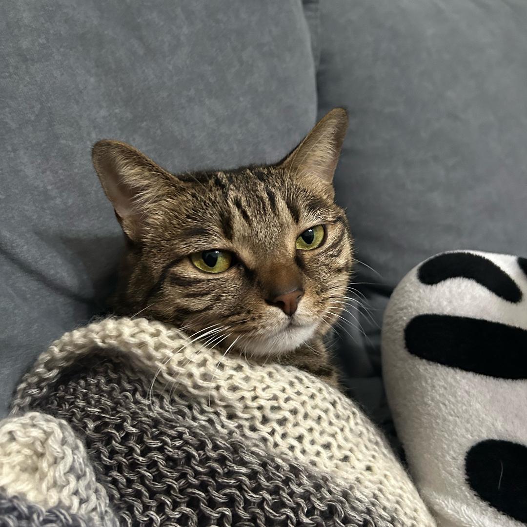 Leonard