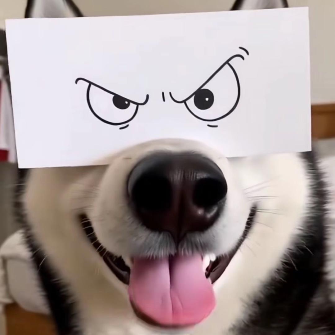 呱呱