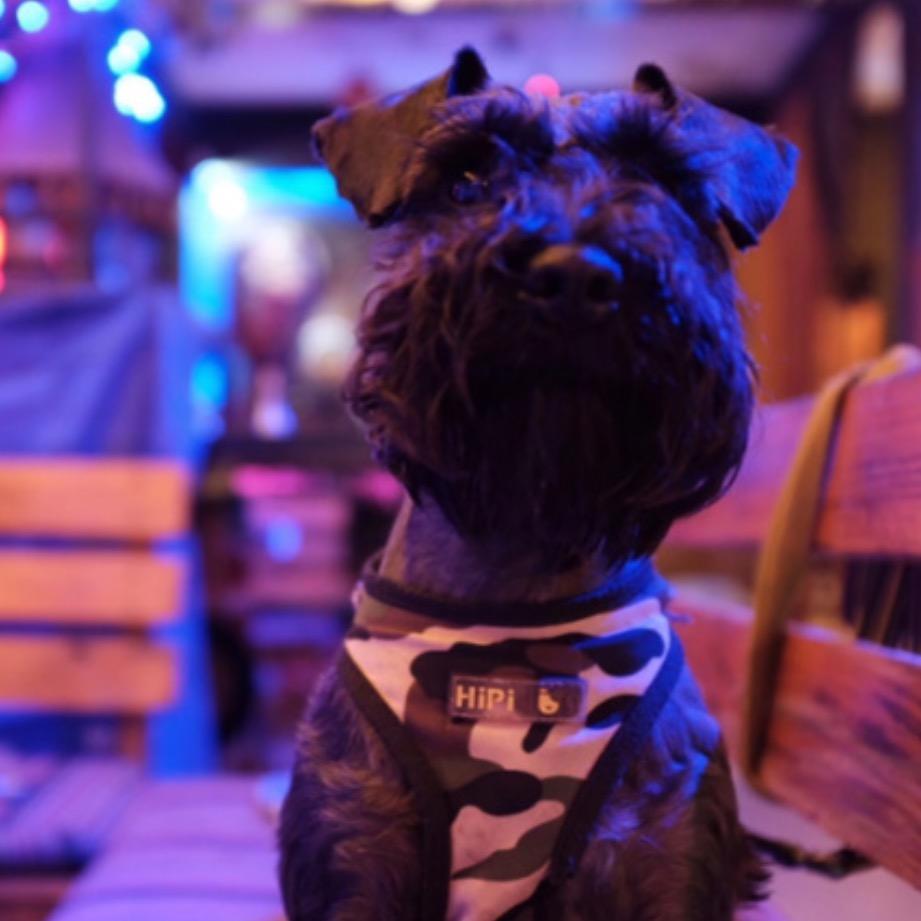 Coco nail手工穿戴甲