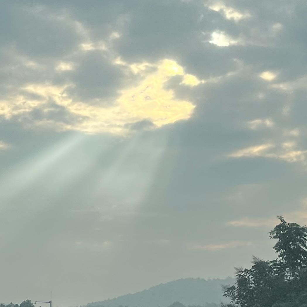 ㄣ草木照常生（从主页进入群聊）