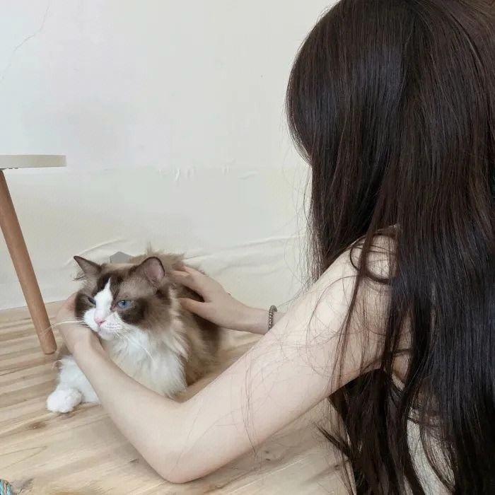 旺财小汐