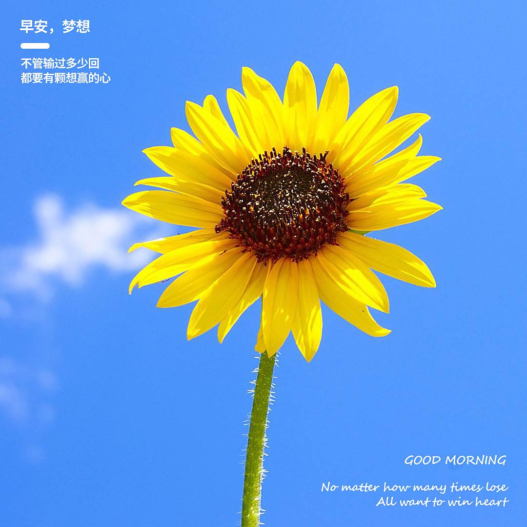 🎈小迷陆要减肥吖🌻❤️