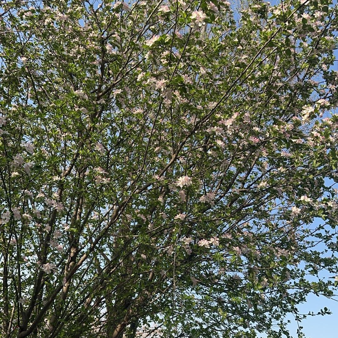 今天一定早点睡