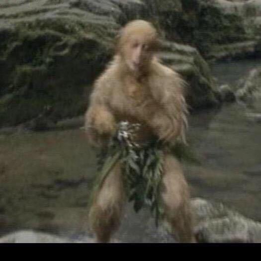 Monkey King（9986）