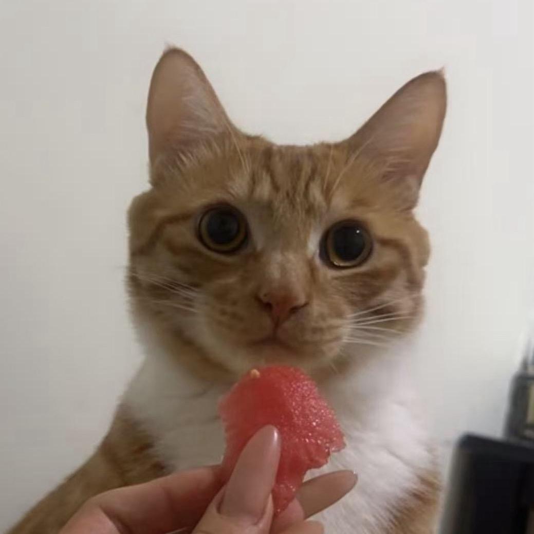 a.