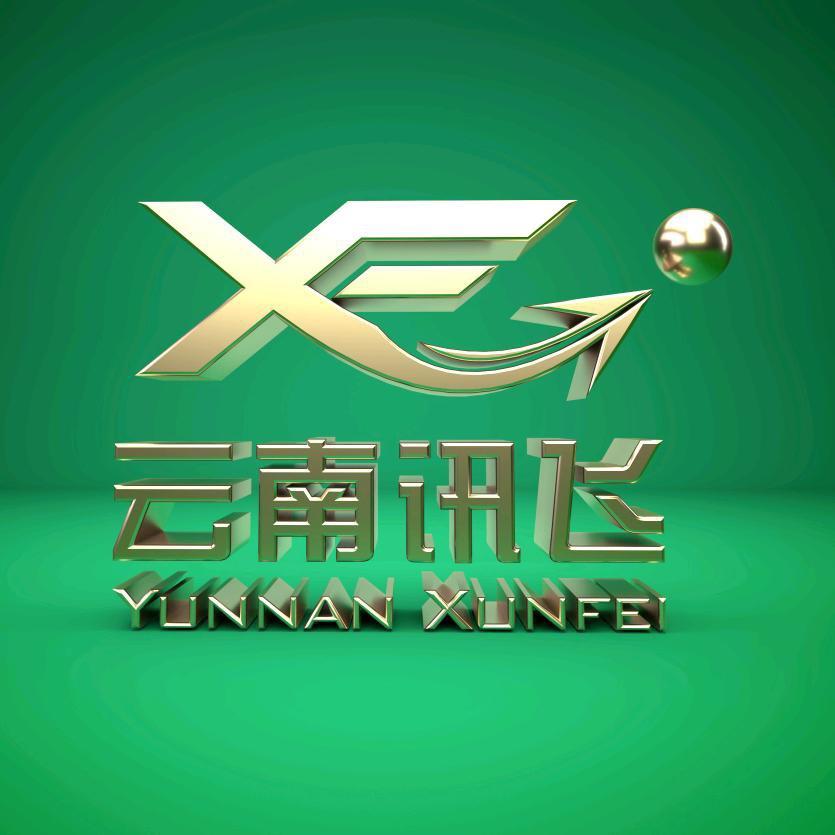 昆明注册公司云南讯飞商务集团
