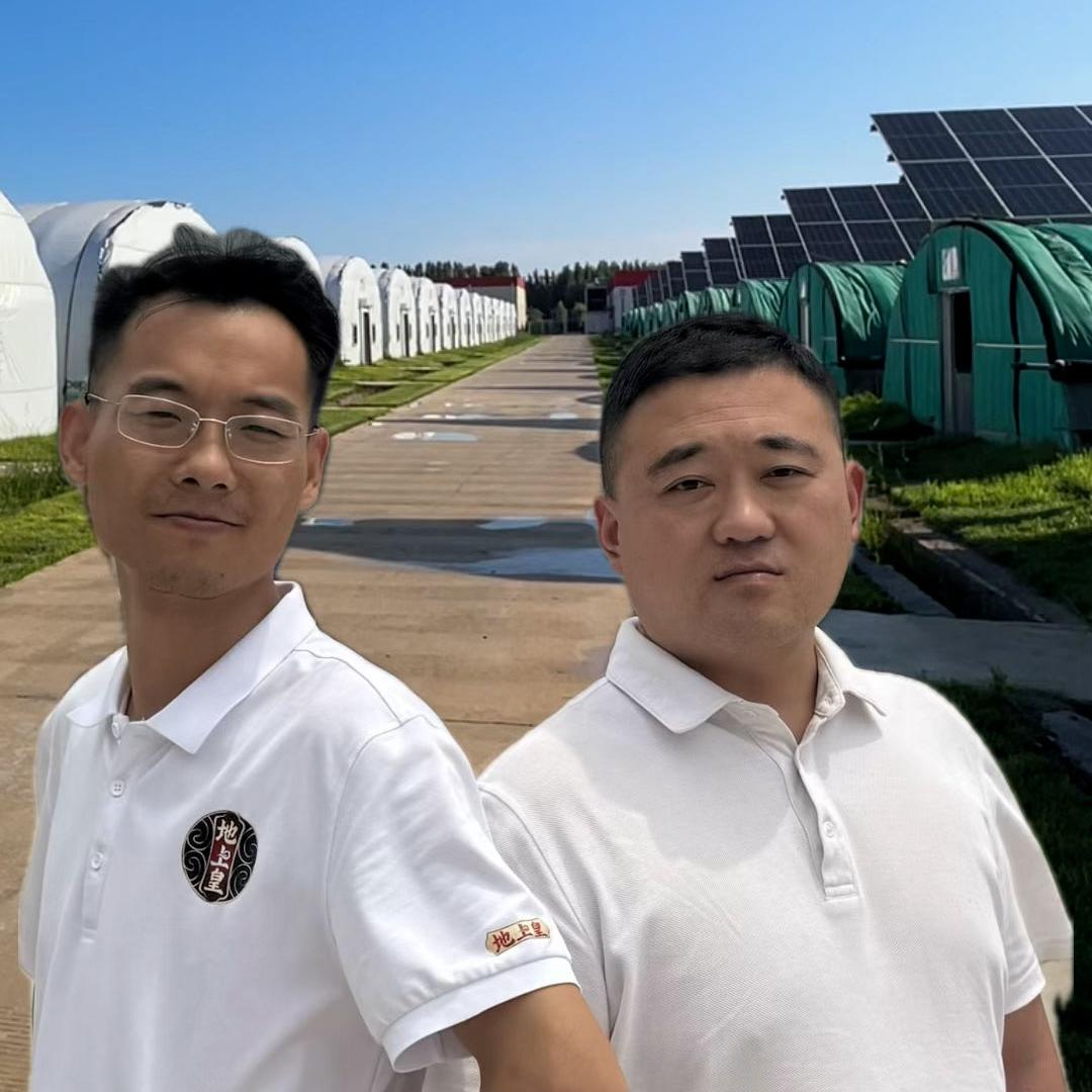 岳芝宗仙草灵芝