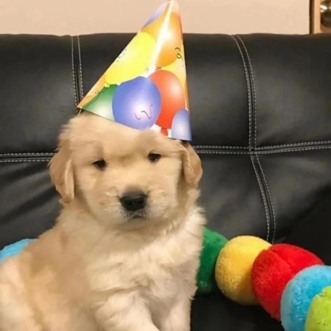 泪水打湿麦当劳你却不懂我的好