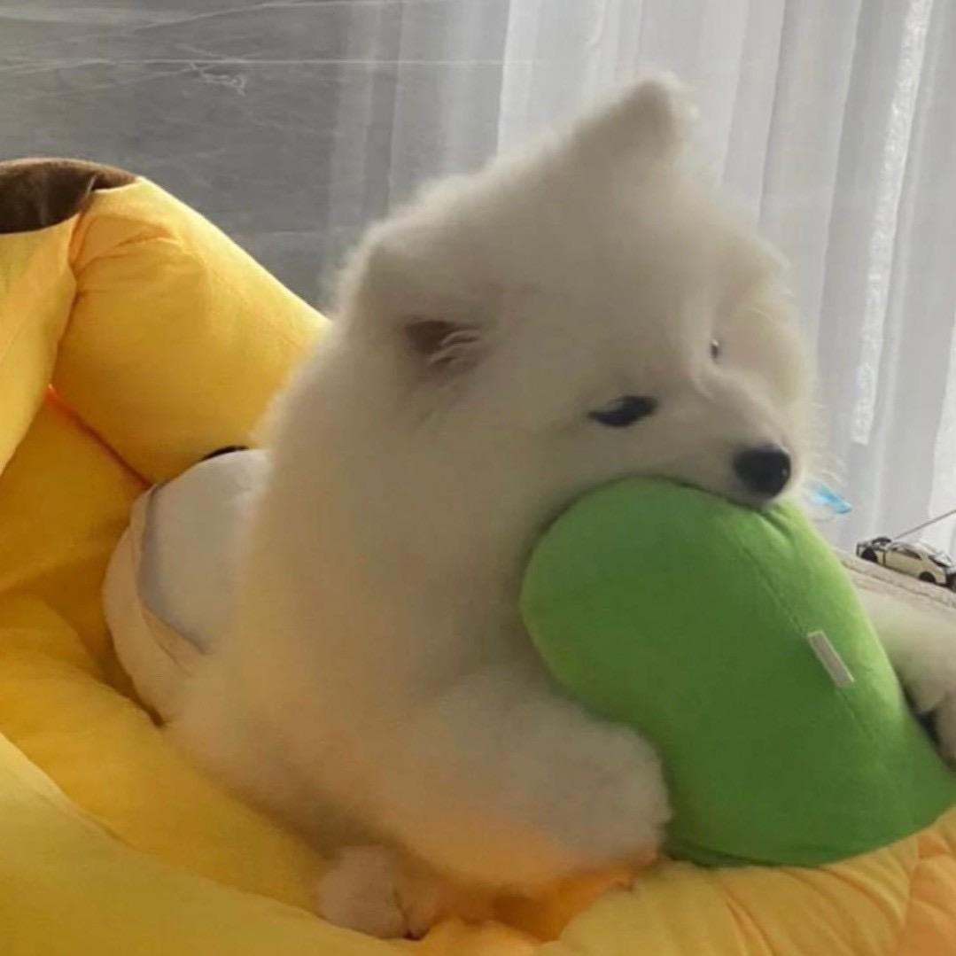 开心