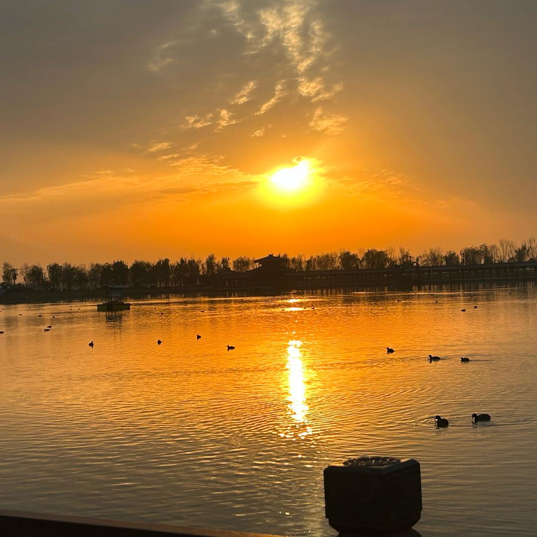 ベ純情、小莮子