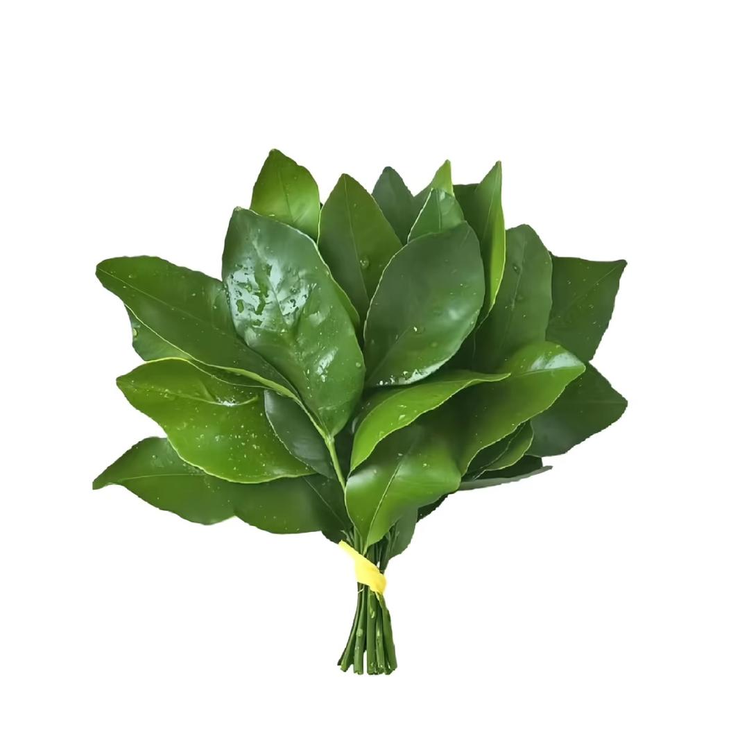 🌷