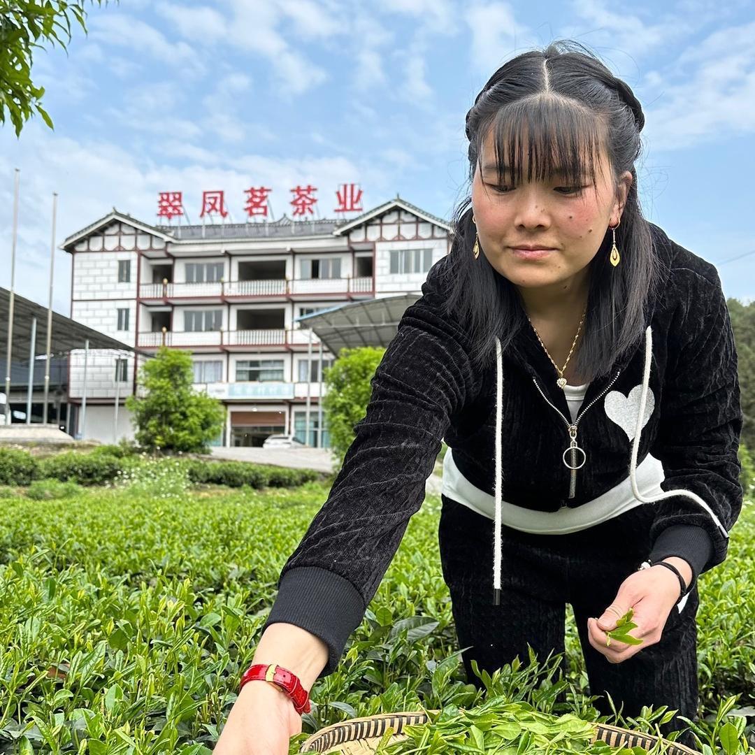贵州绿茶之家茶业有限公司