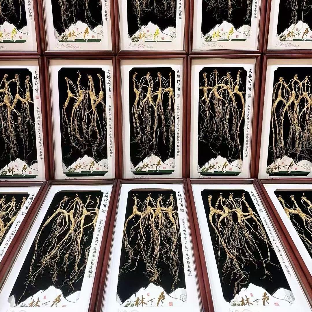 长白山跑山人老赵