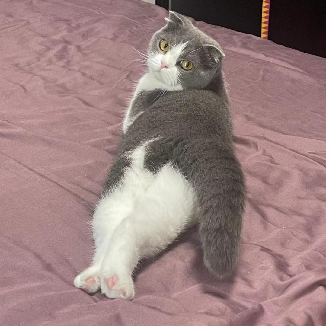 lu路