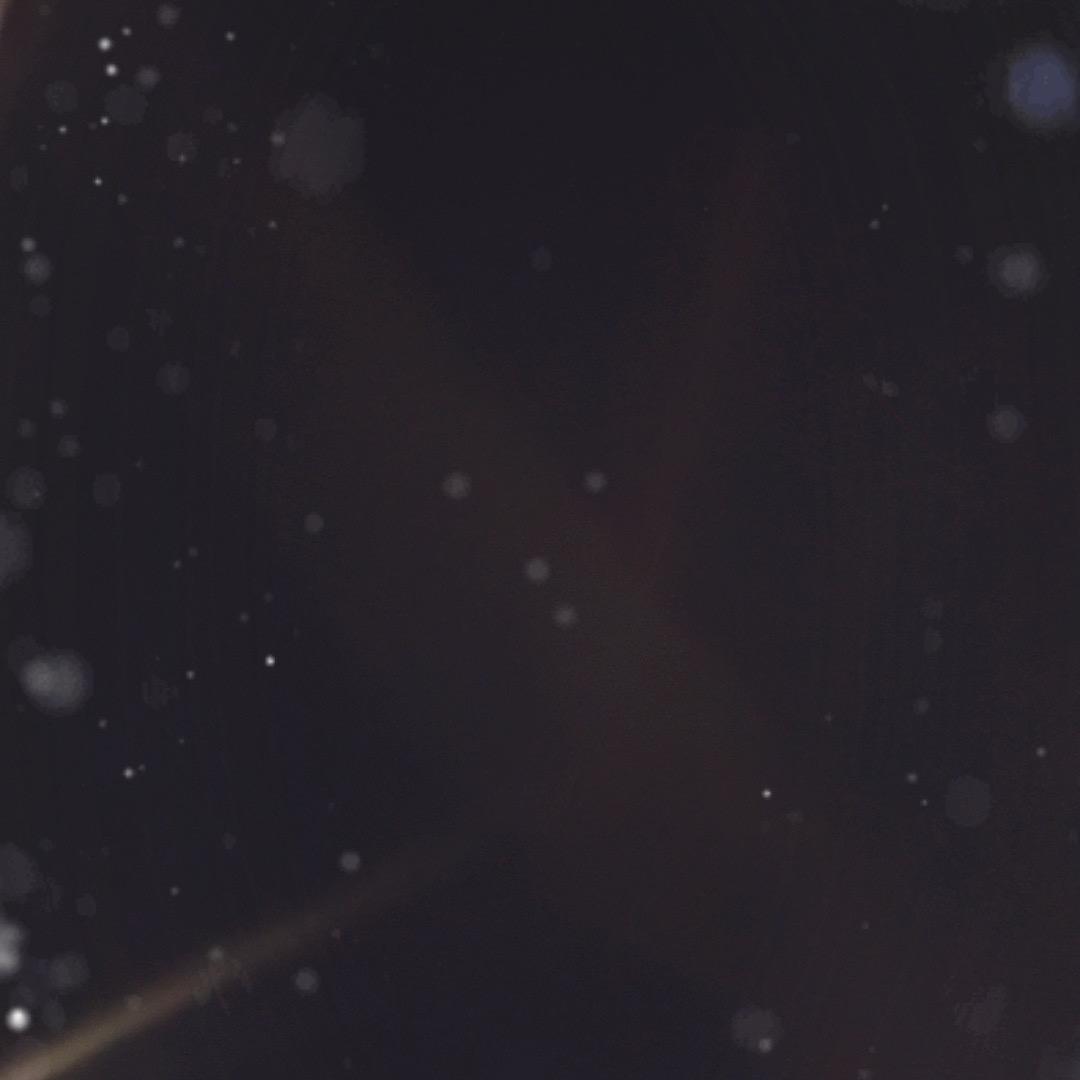 .。