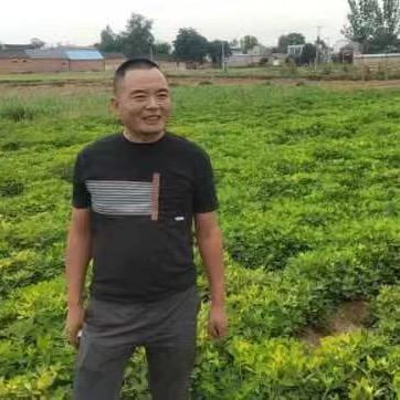 沙沃心连心农资