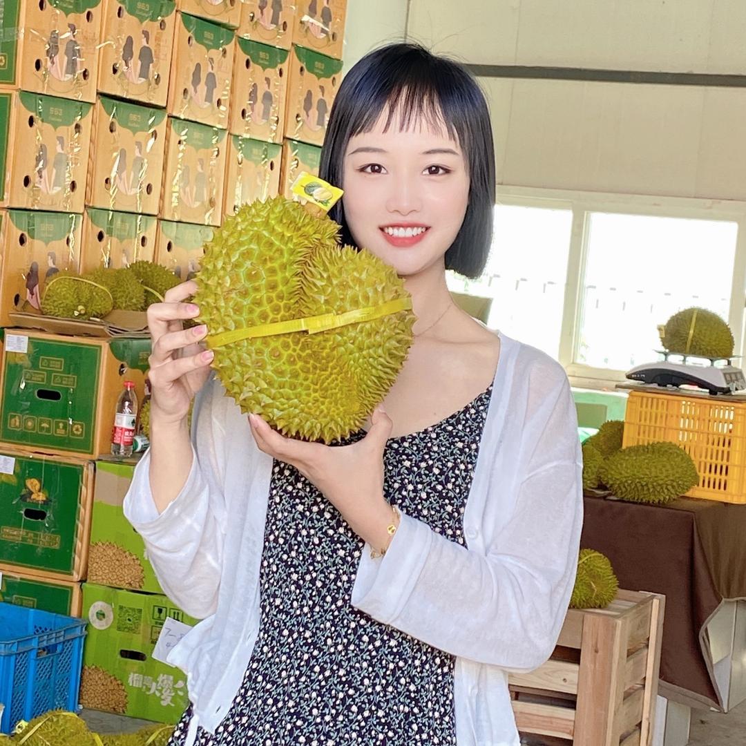 云南露天蓝莓苗