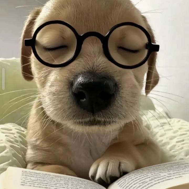 只有月亮经过