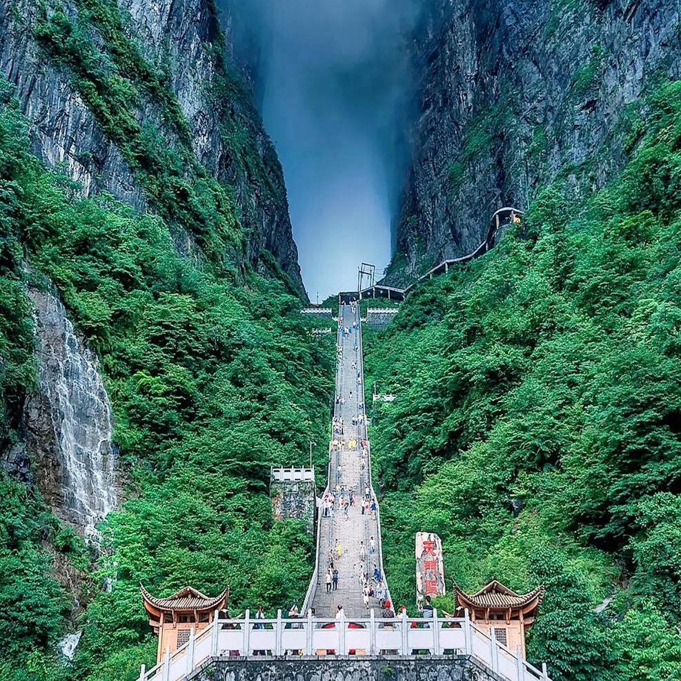 淘气的屁屁仔♟️