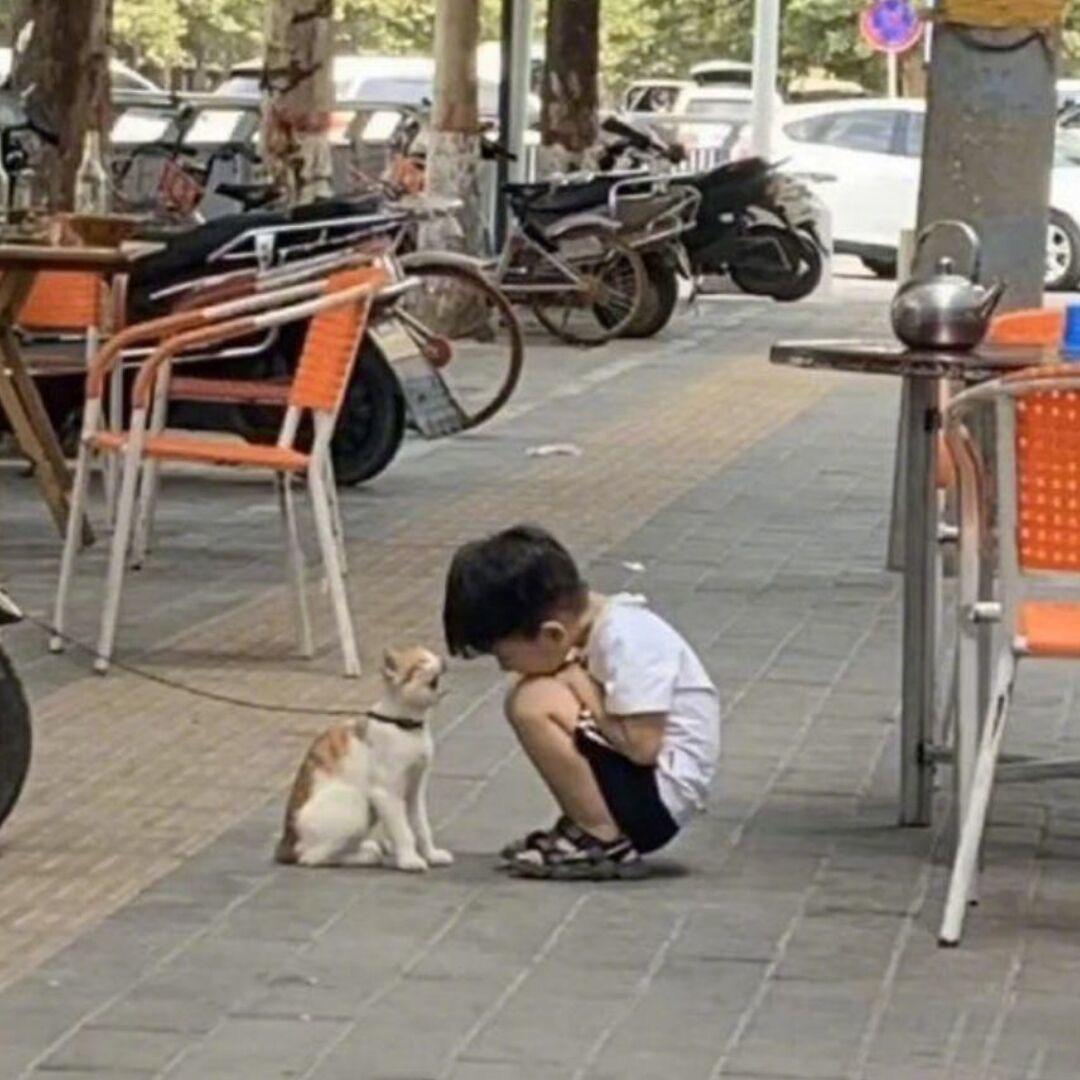 不看月亮