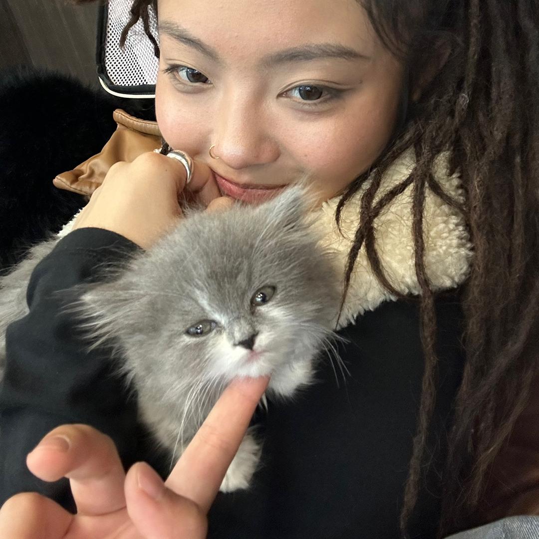 榴莲阿猫