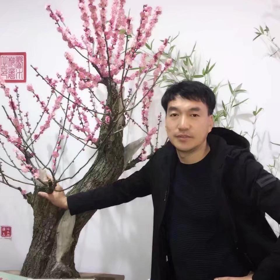 正能量涛哥
