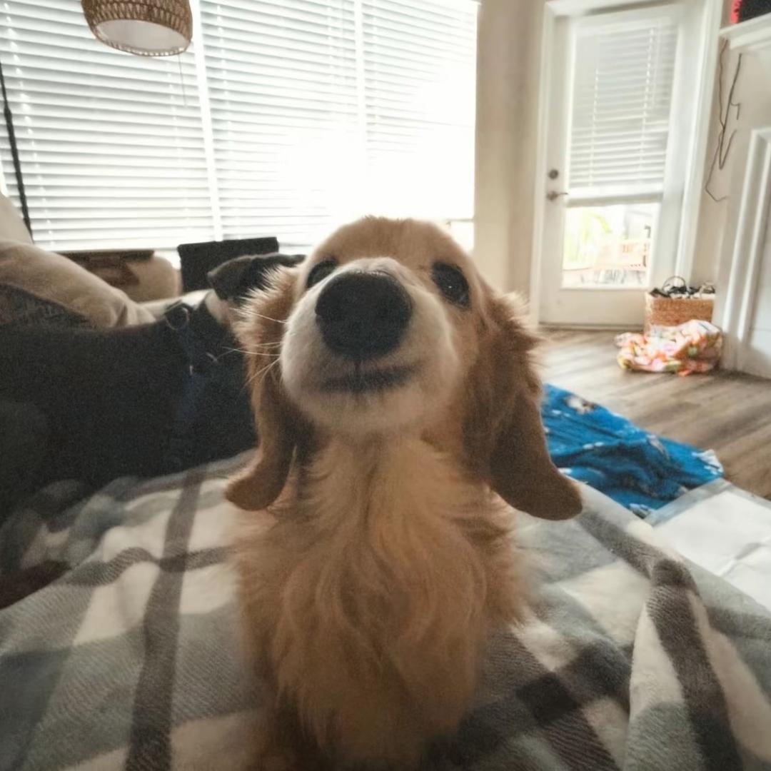 󠀀󠀀󠀀󠀀󠀀󠀀󠀀󠀀󠀀󠀀