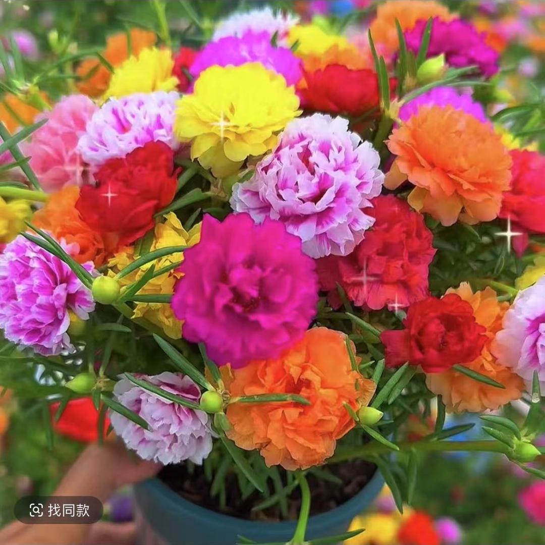 美好时光花坊