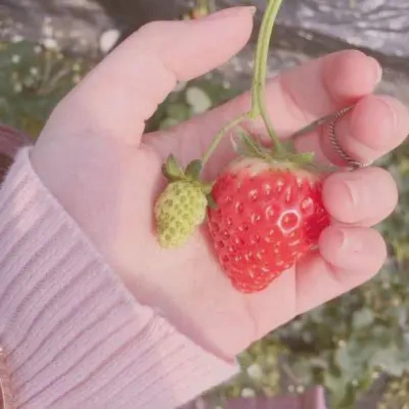 用户黄慧