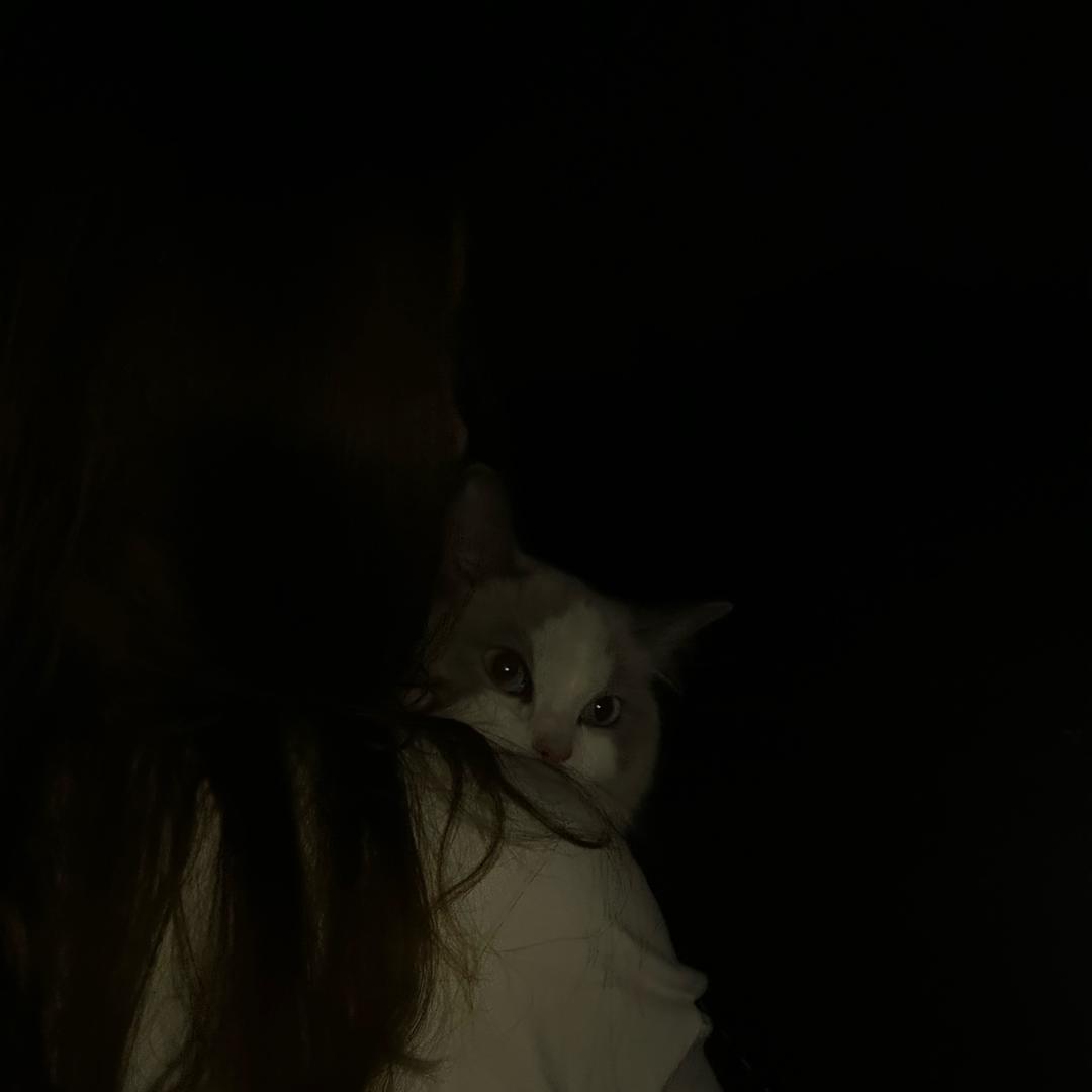 橙一一