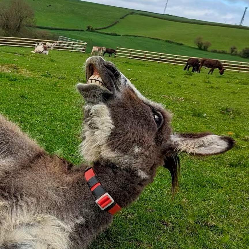 睡觉对我很重要