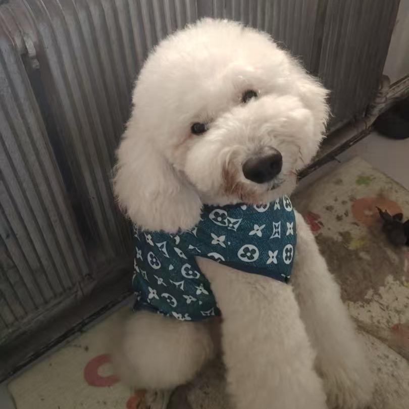新年bb