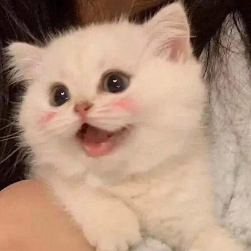 心之所动