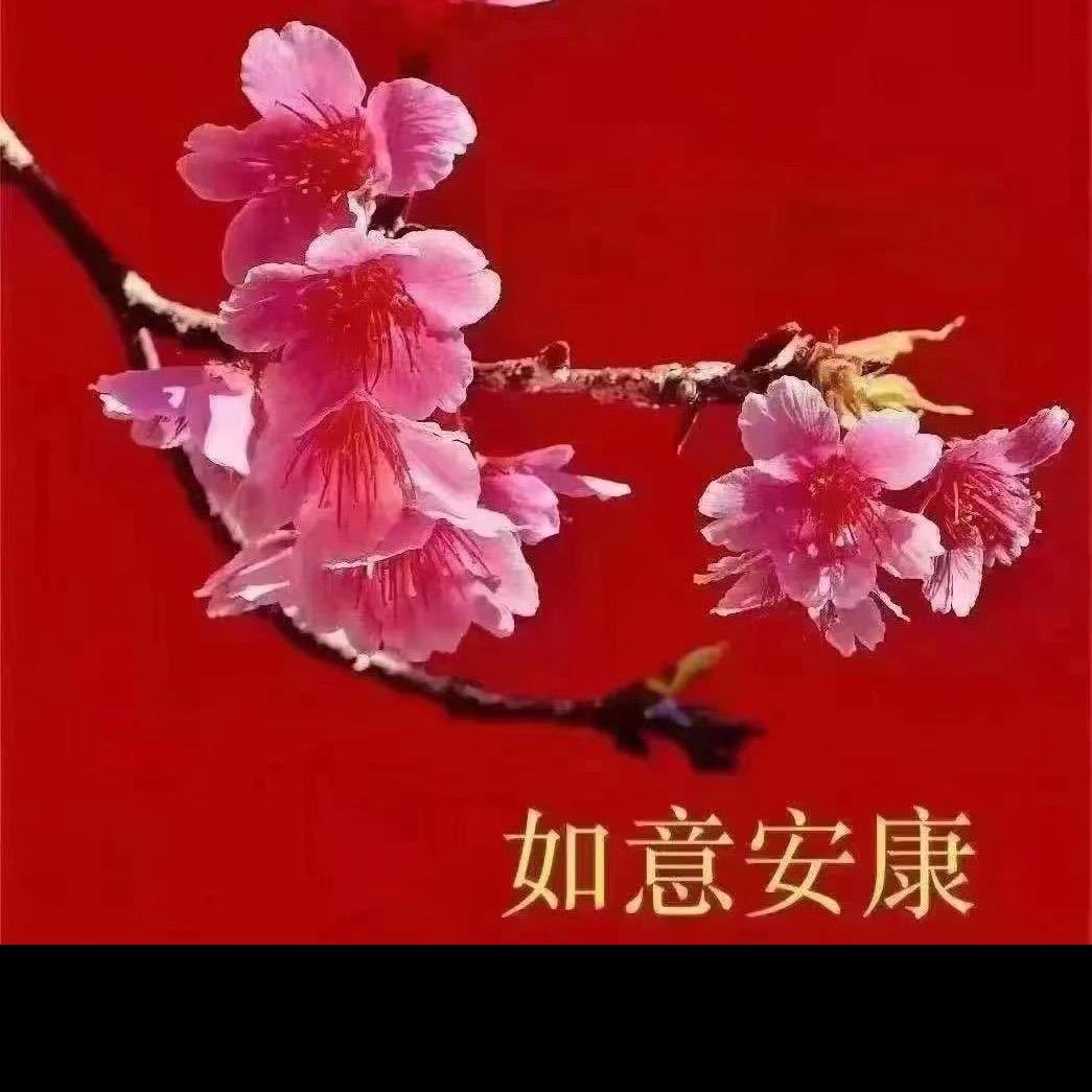 王高明