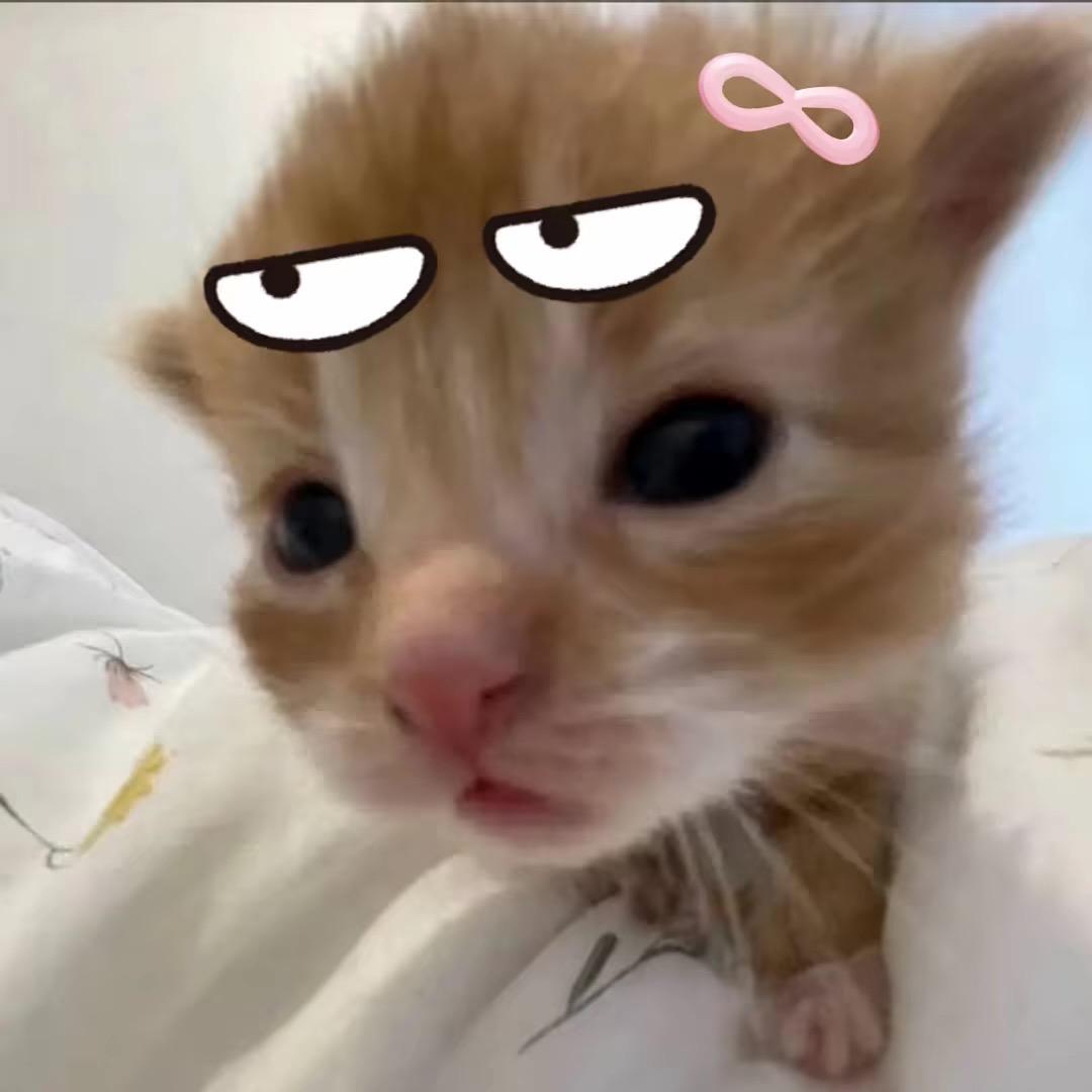 鼻嘎大王