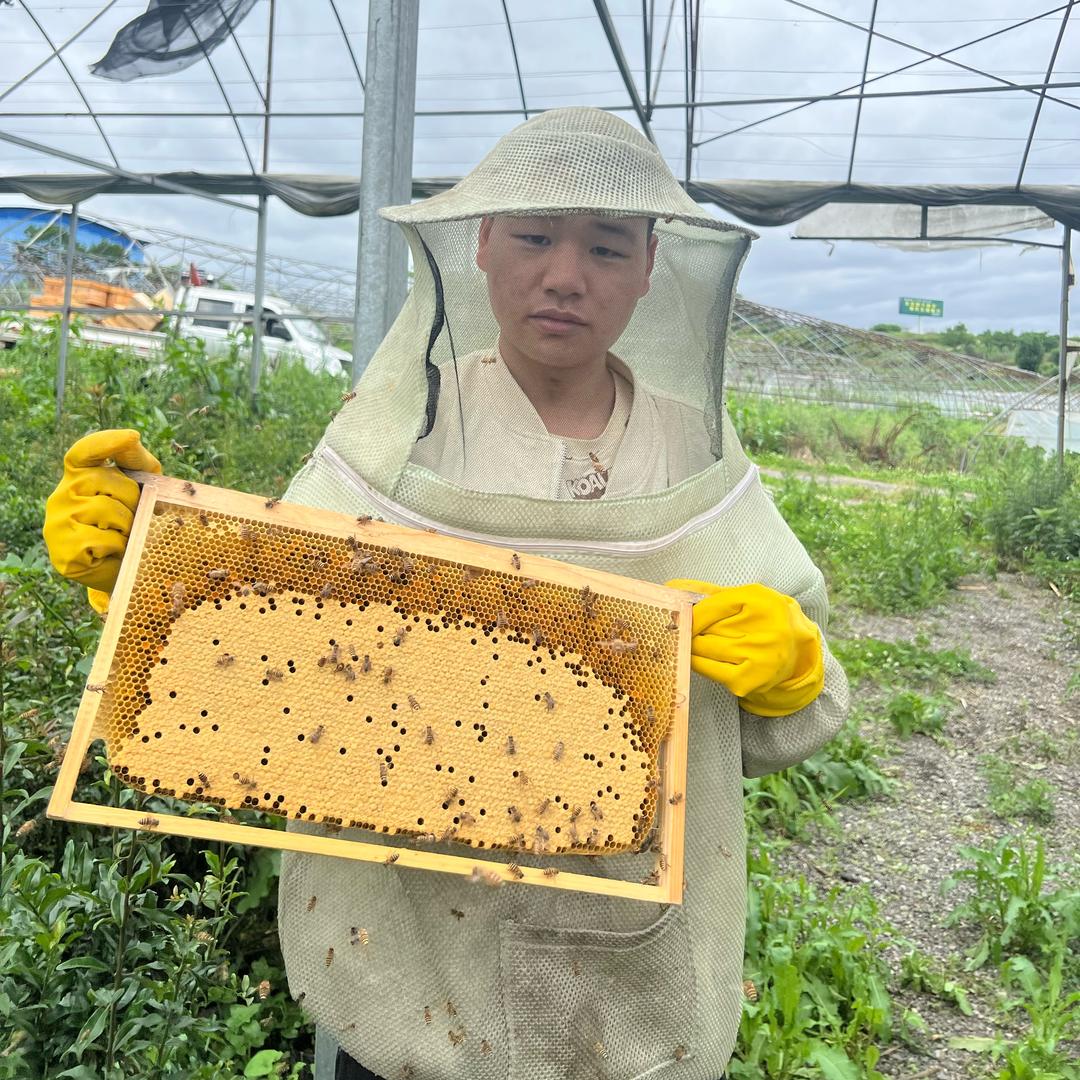 贵州中蜂