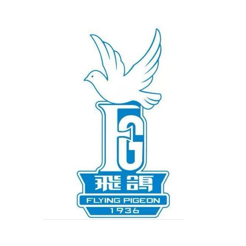 飞鸽山地车工厂店