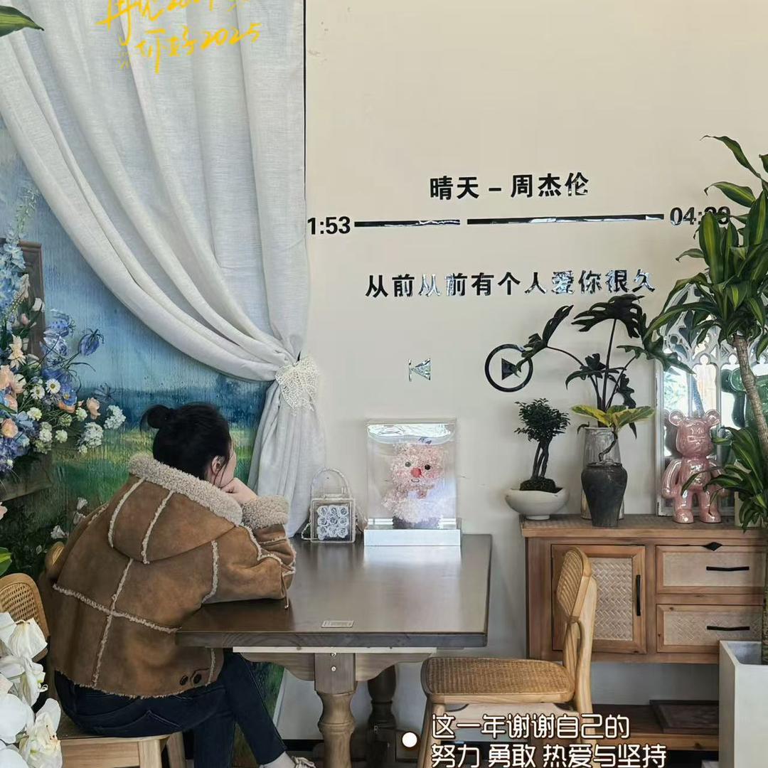 安静的小考拉