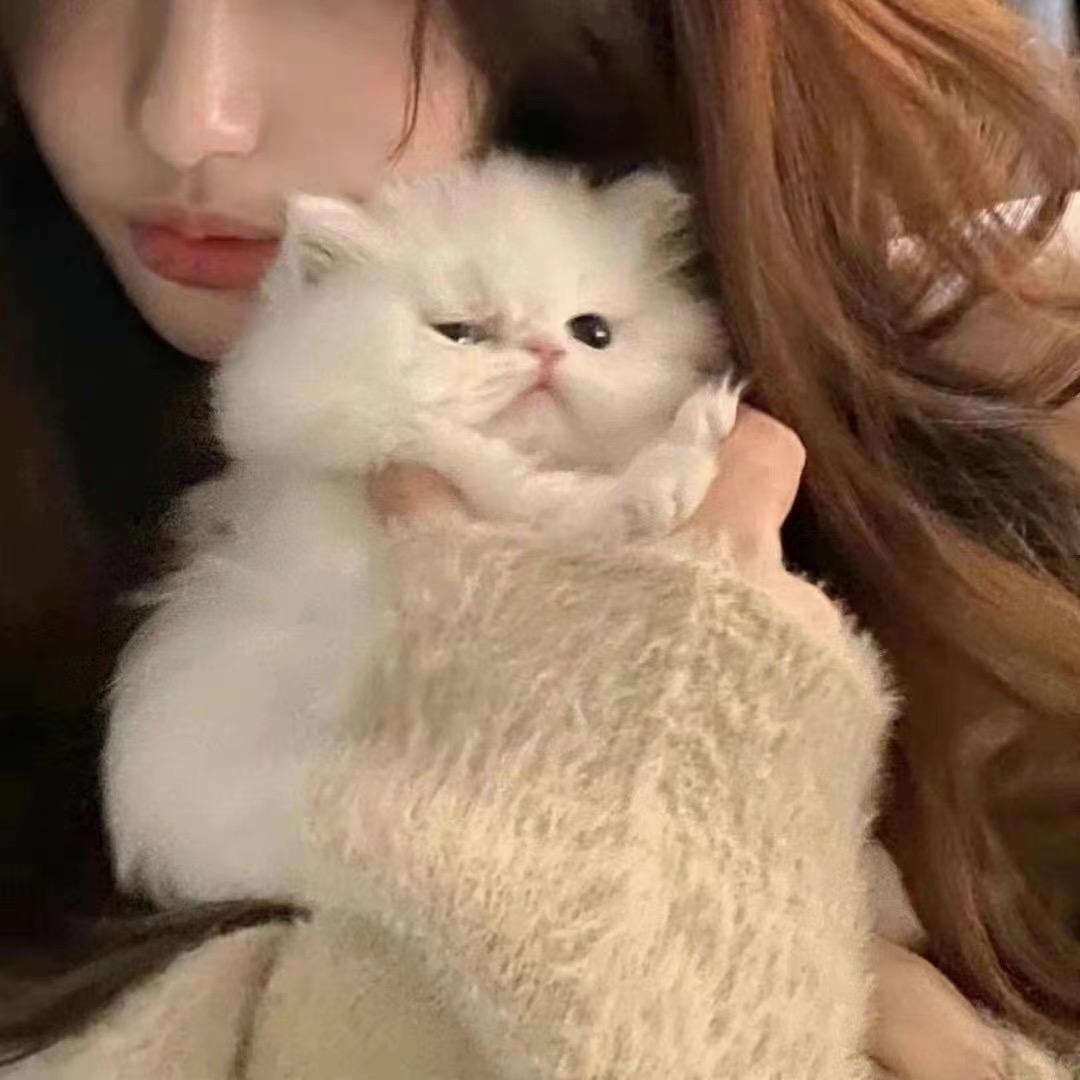 叶小仙