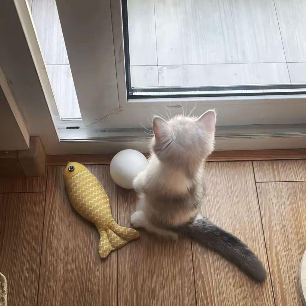 牙不齐