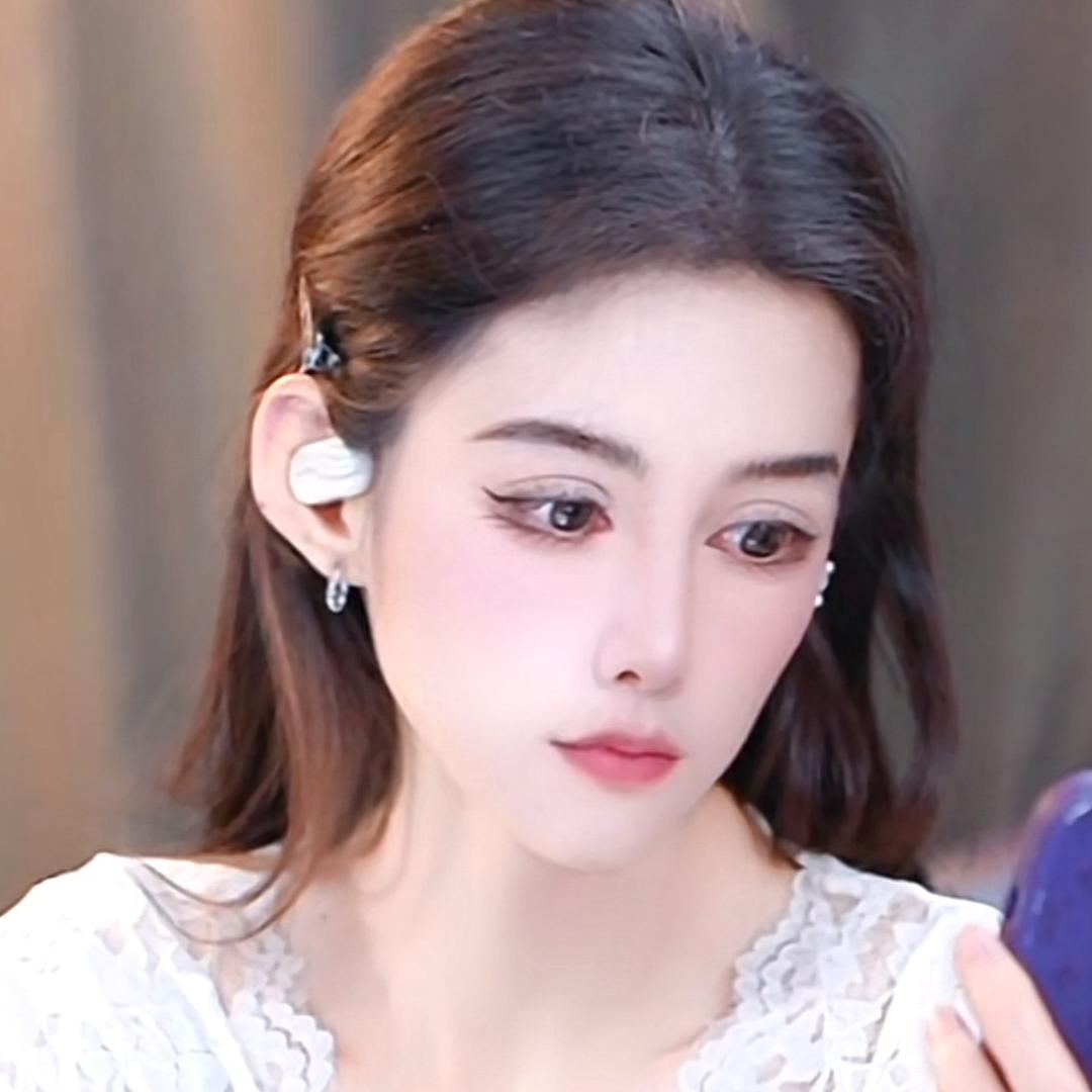 何豚