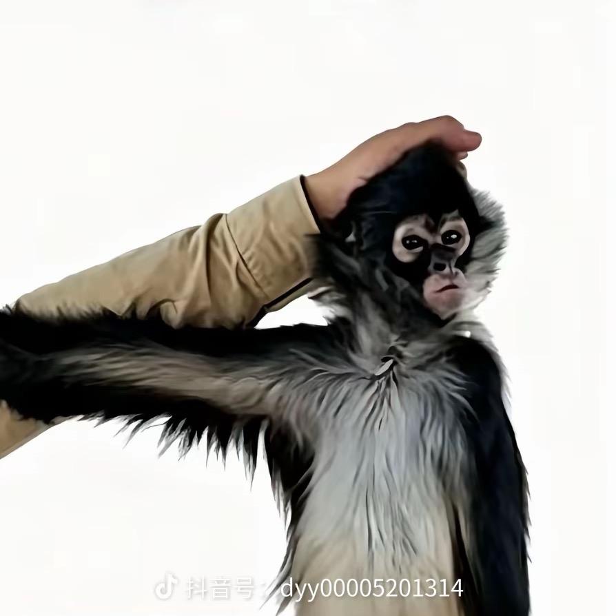 Fres头像
