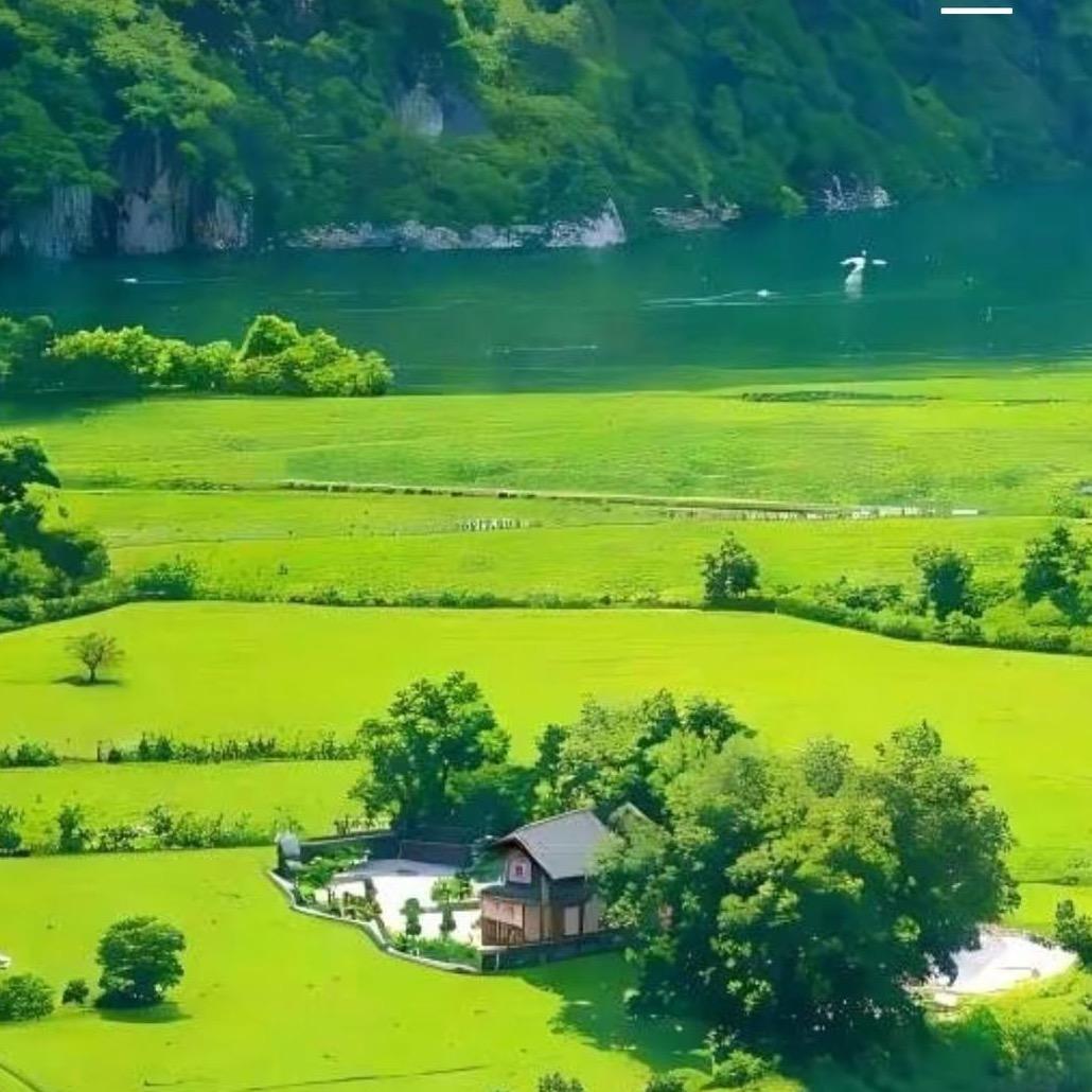 🎋静心🎋