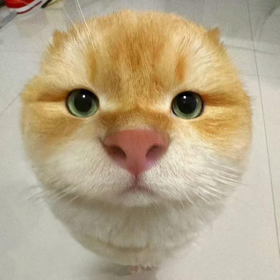 半个溏心蛋