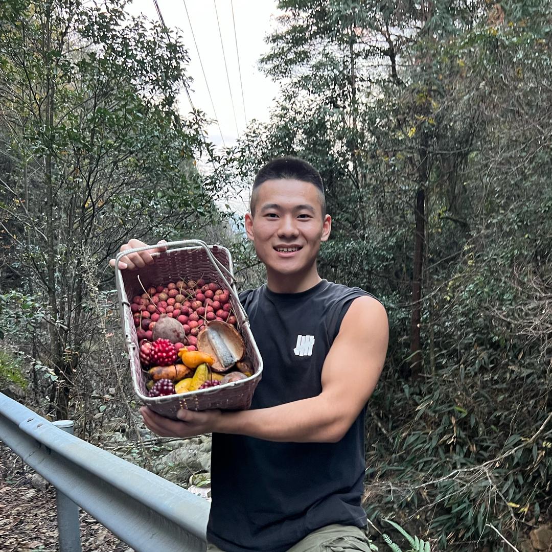 杨春平