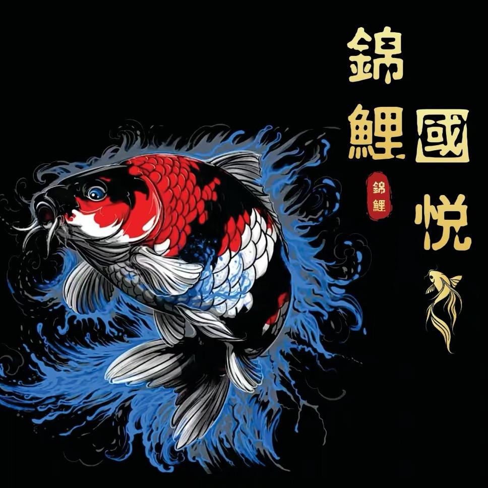 國悦 锦鲤